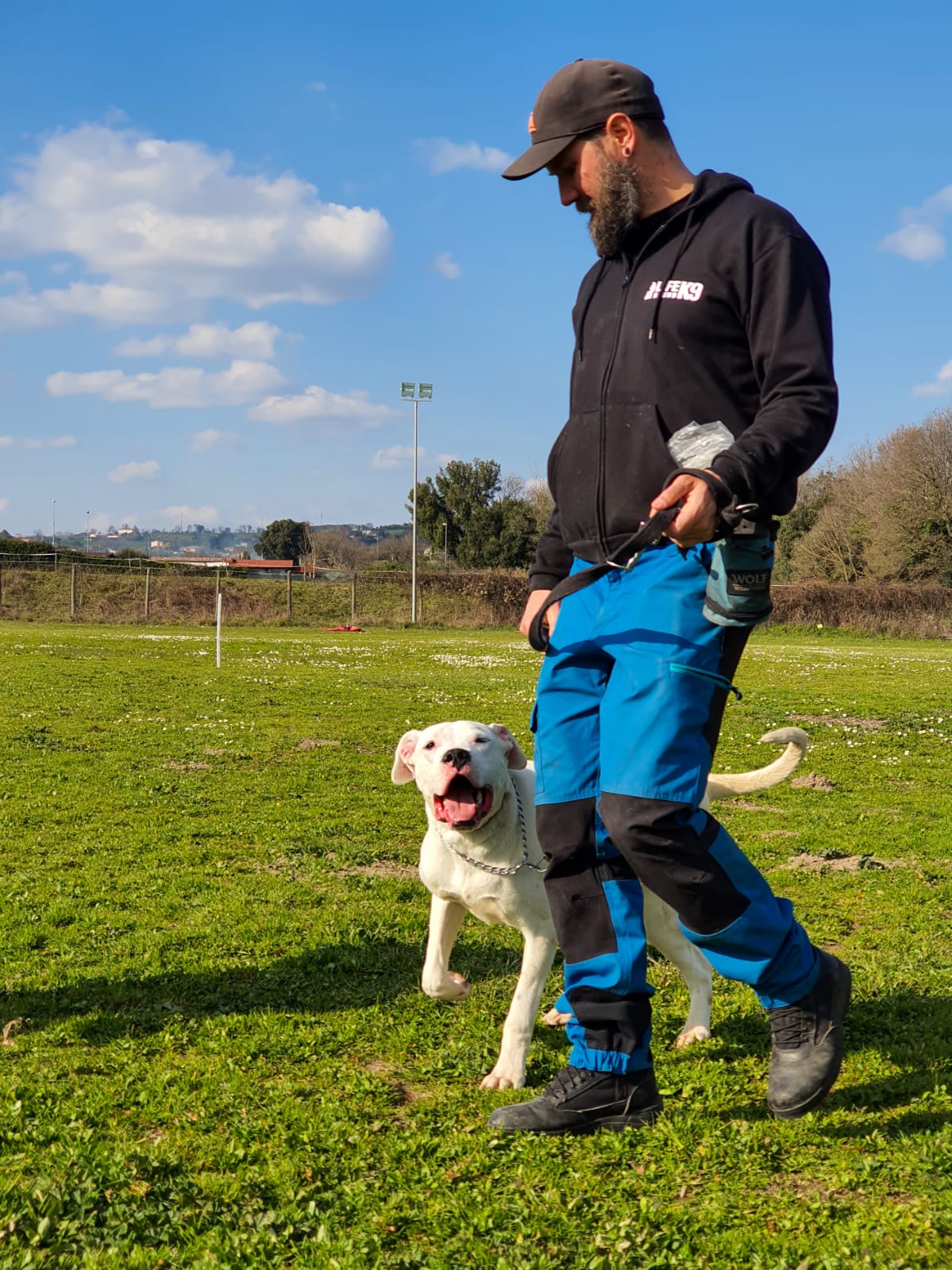 Addestramento cani Roma