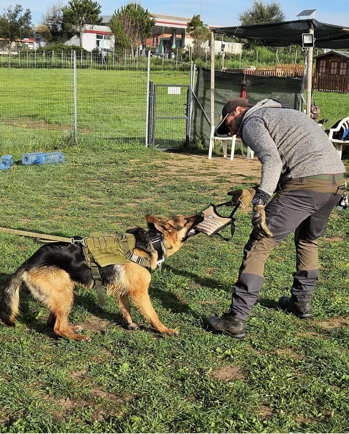 Attività Expo e Utilità e Difesa