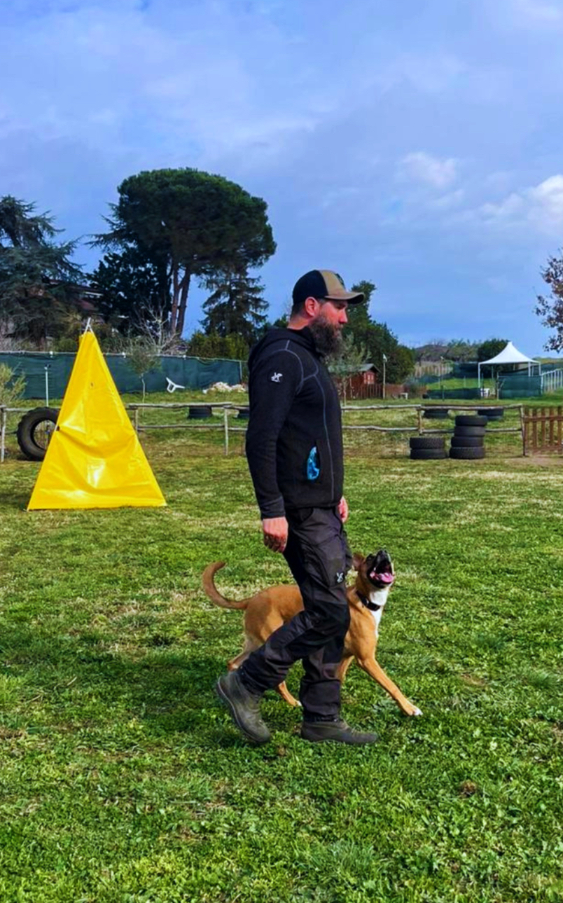 Cane addestrato presso il centro LifeBound K9
