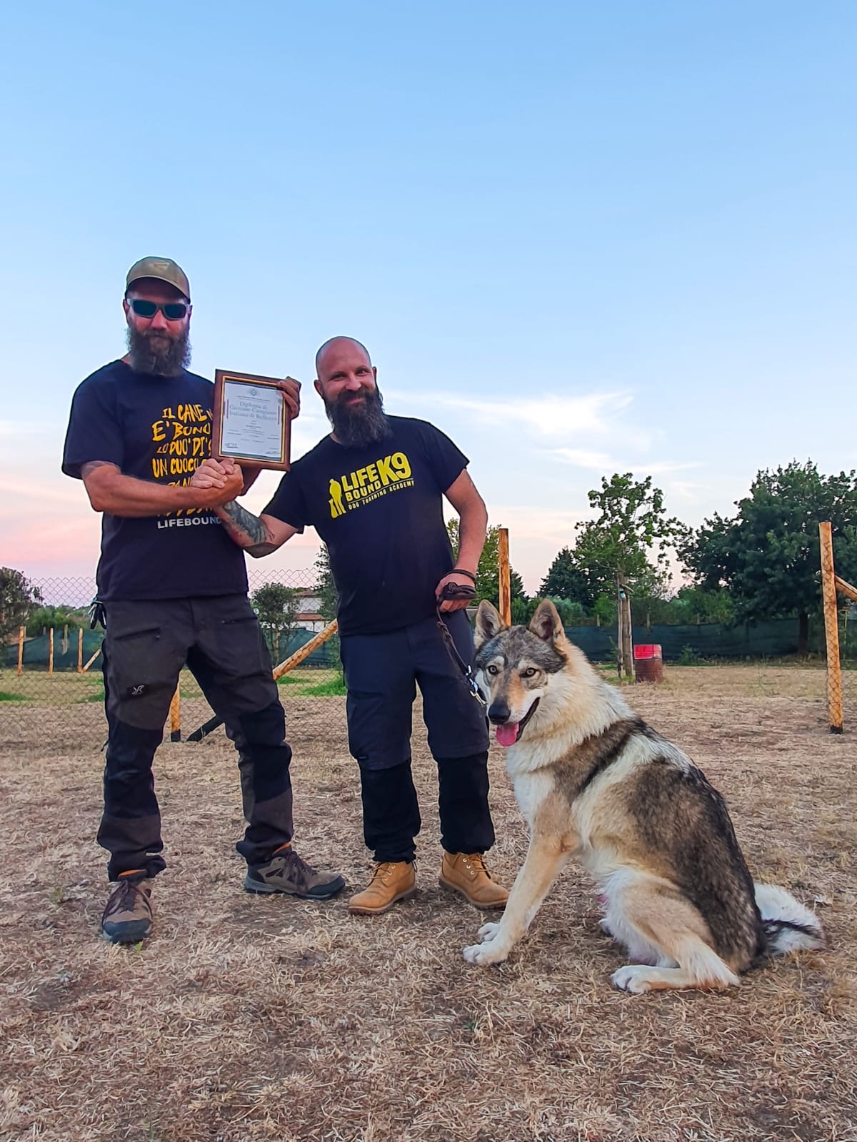 Cane in gara obedience